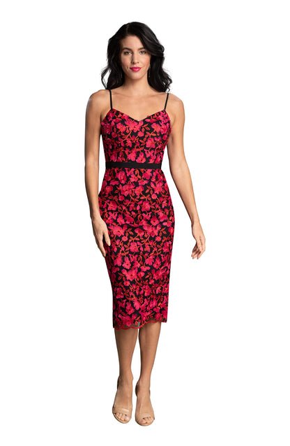 Embroidered V-Neck Belted Midi Dress